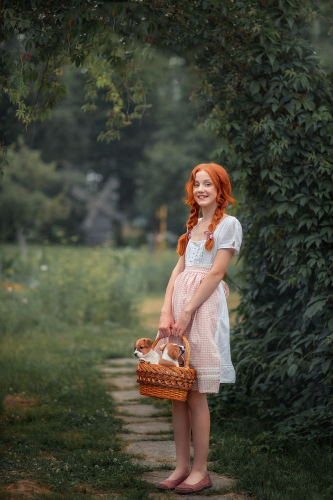 Рыжики