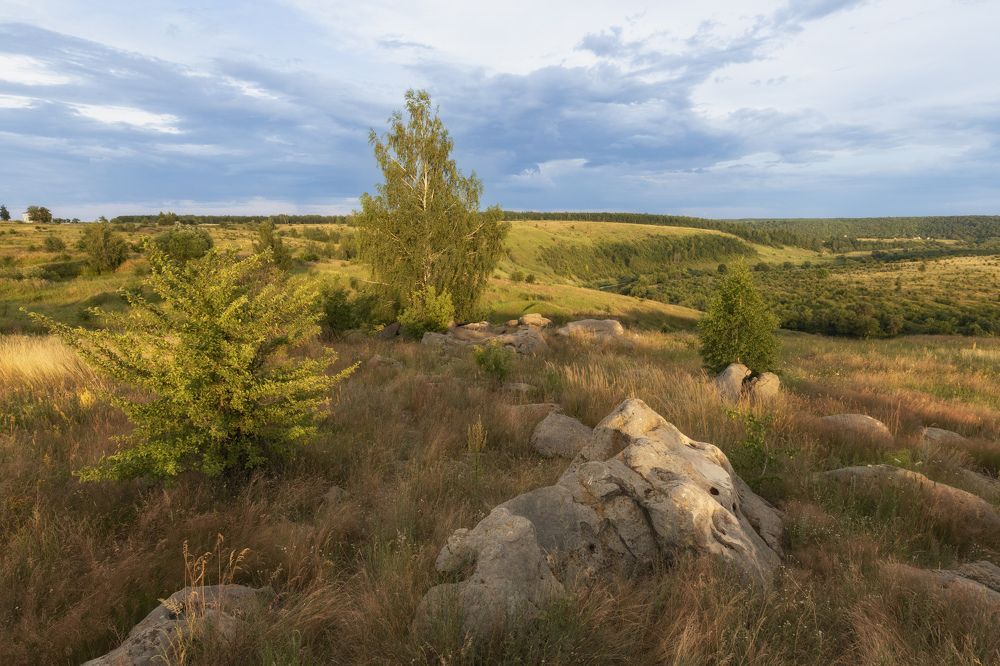 Красногорье