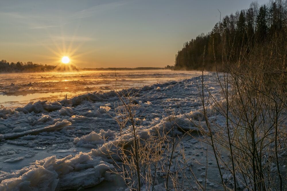 Photo 2218584