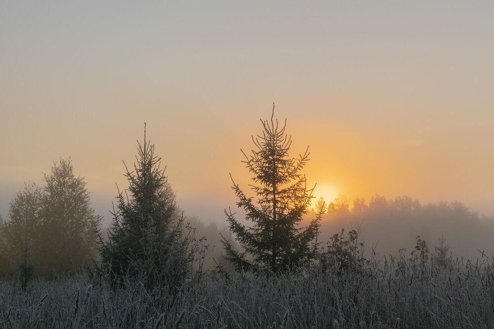 Photo 2218586