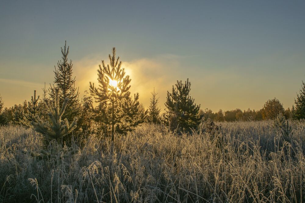 Photo 2218587