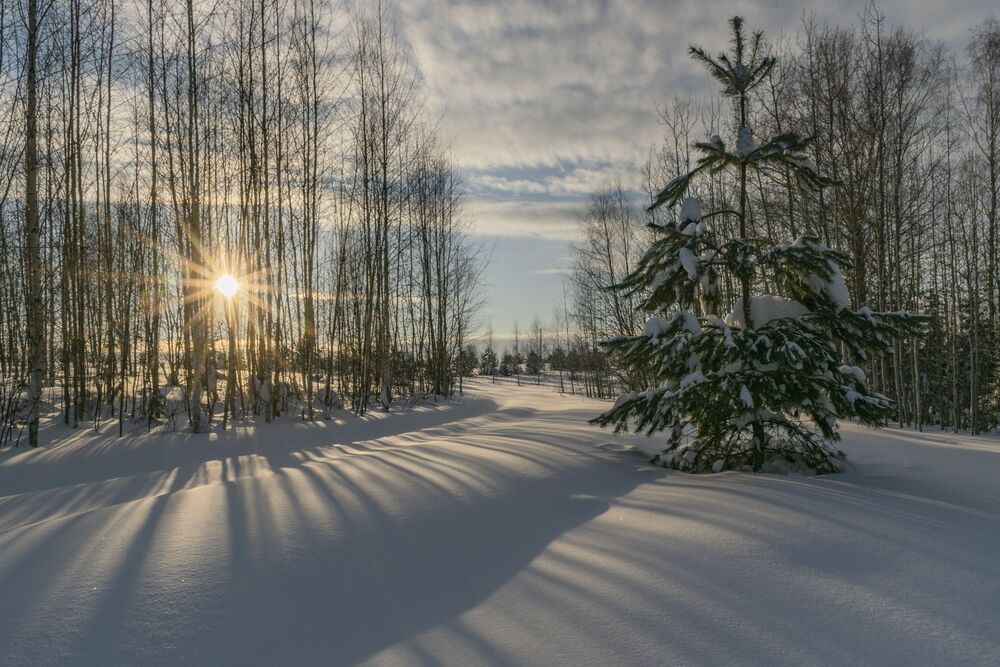 Photo 2218588