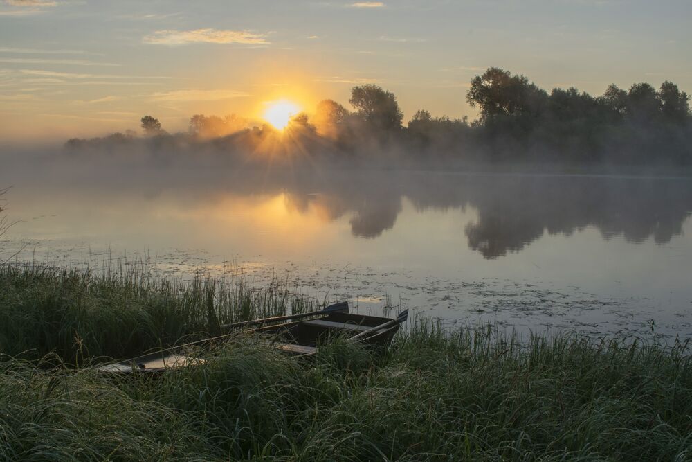 Photo 2218591