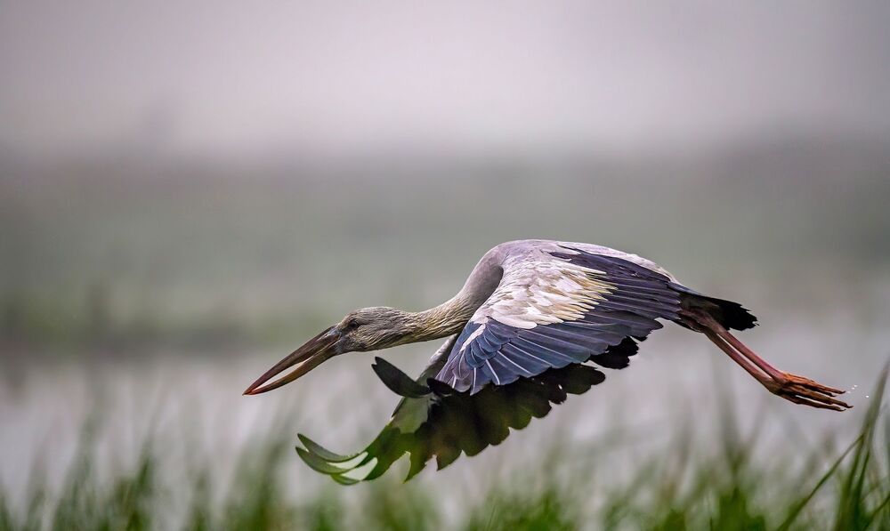pinakighoshphotography