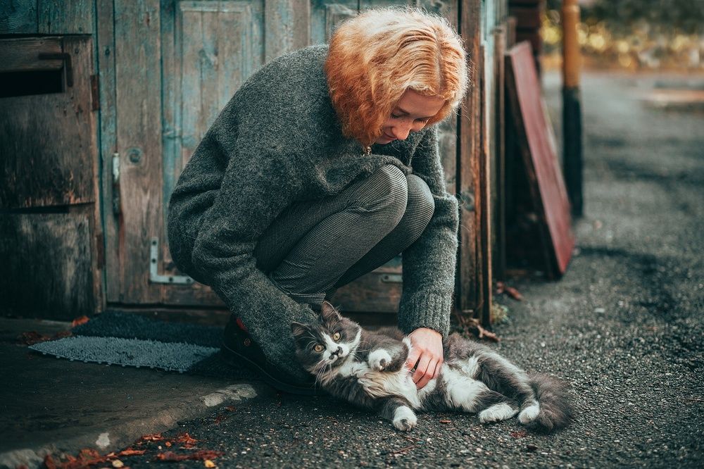 Встреча с уличным котиком