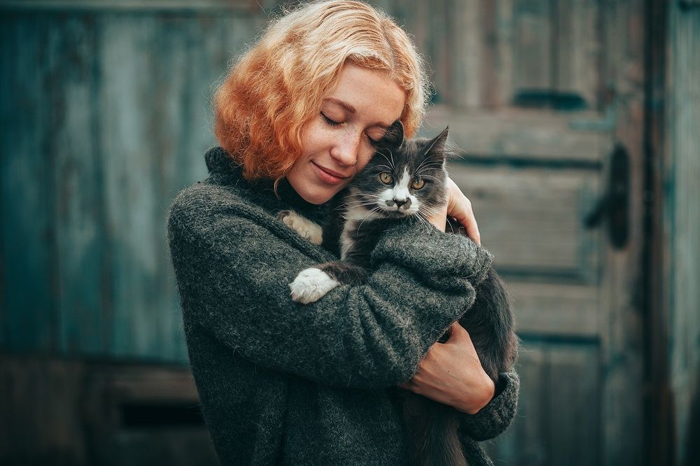 Встреча с уличным котиком