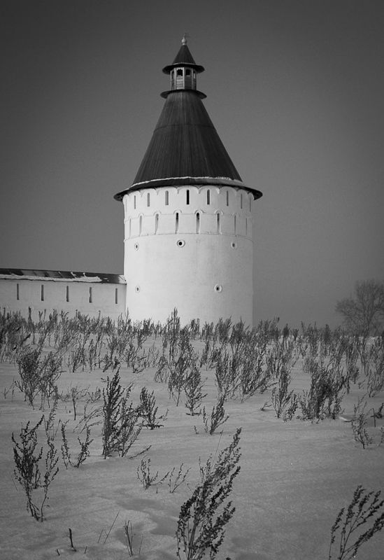 Photo 222504