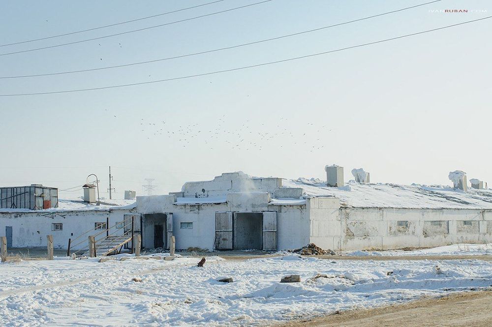 Коровник