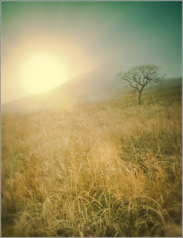 Photo 222758