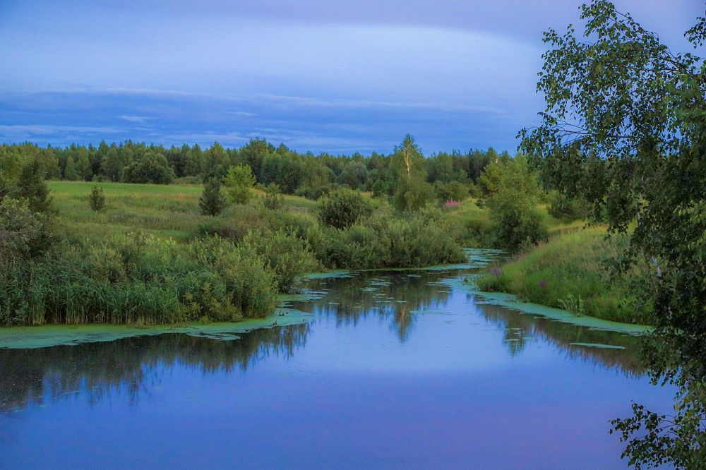 Летний вечер