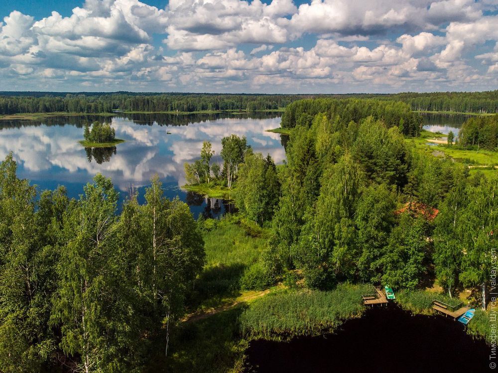 Полетели
