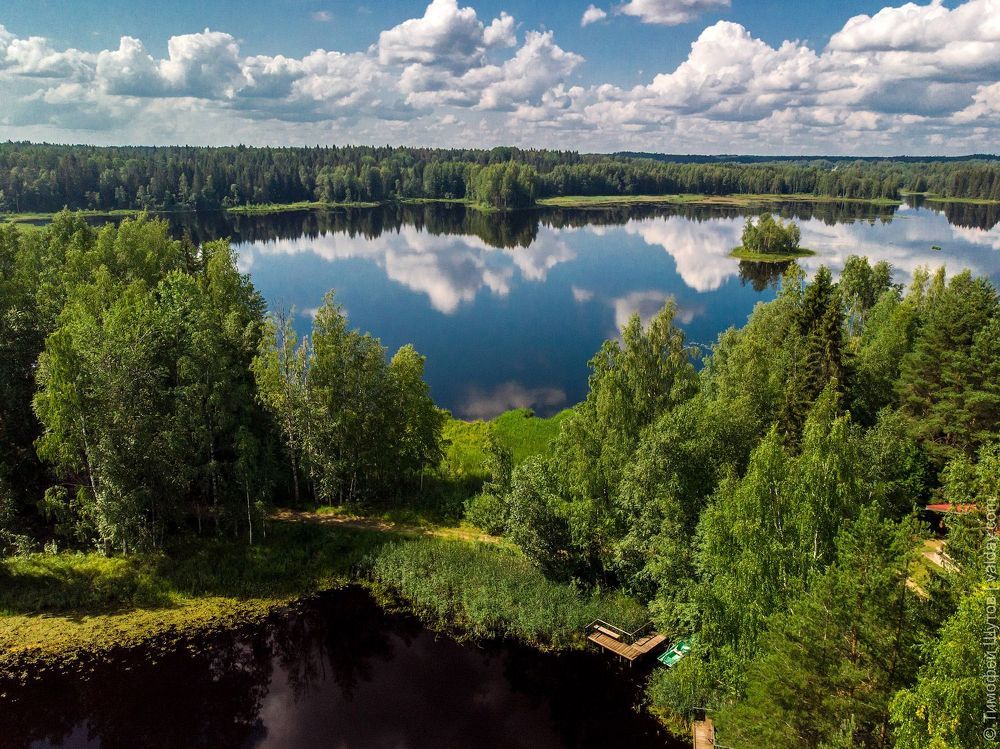 Полетели