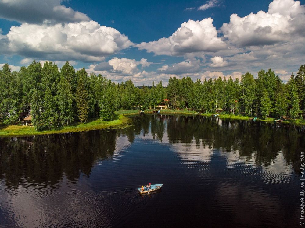 Полетели