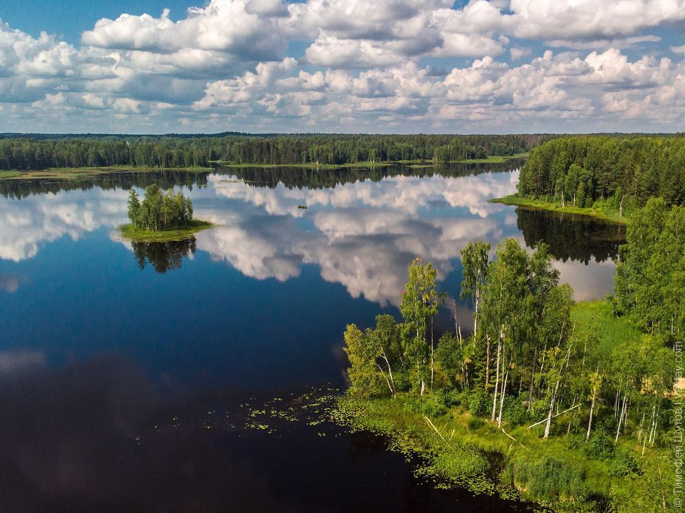 Полетели