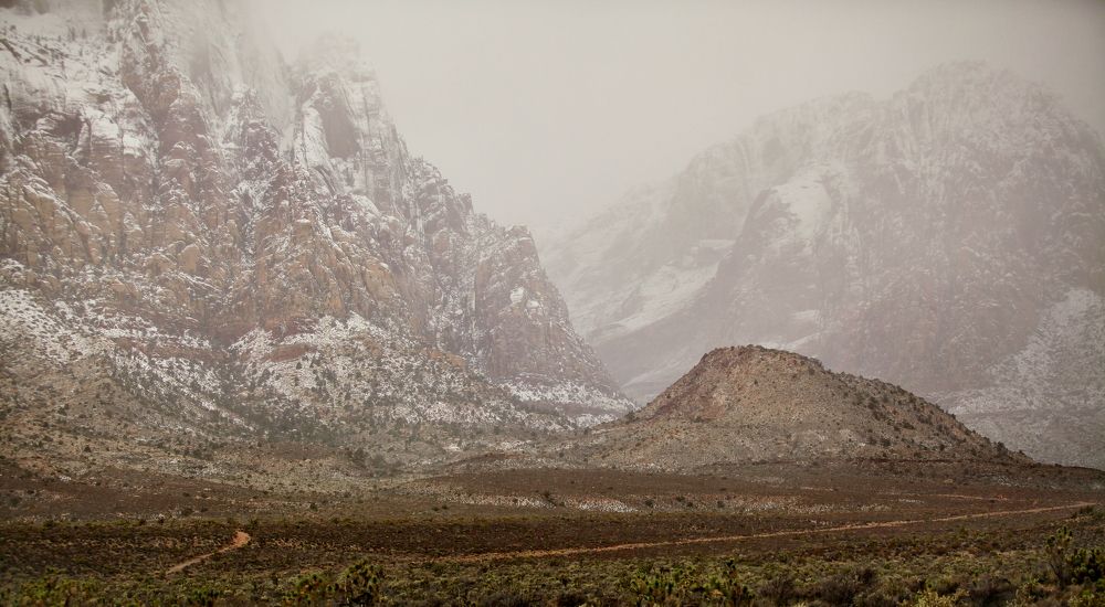 Nevada