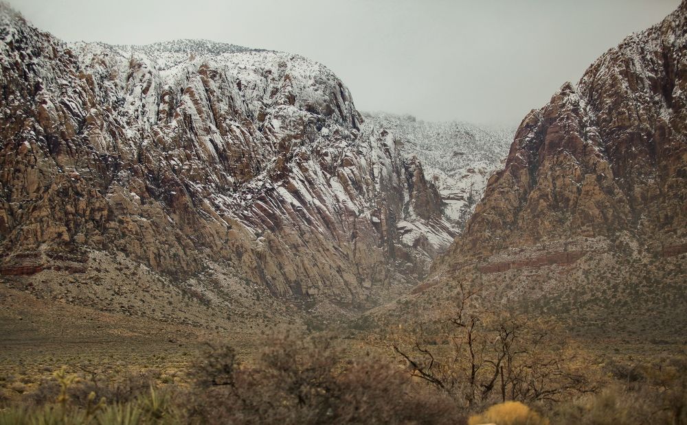 Nevada
