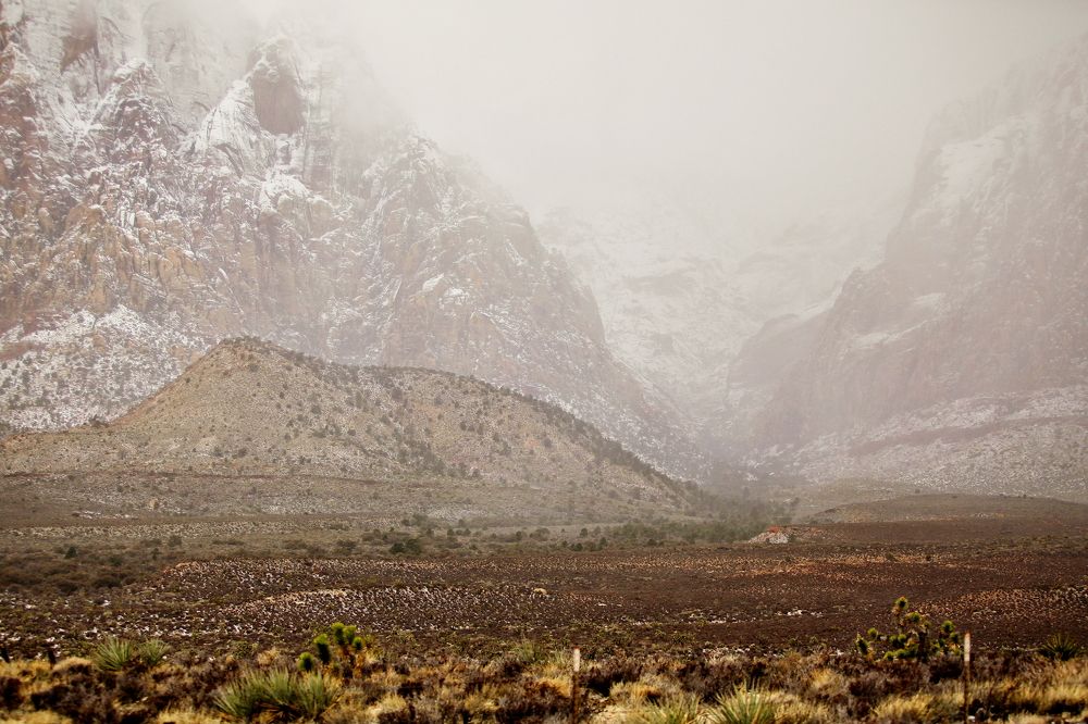 Nevada