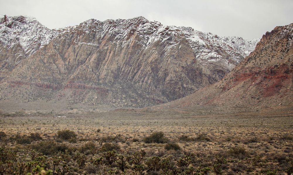 Nevada