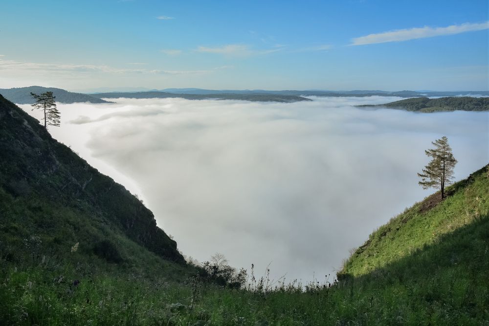 Катунские утёсы в тумане