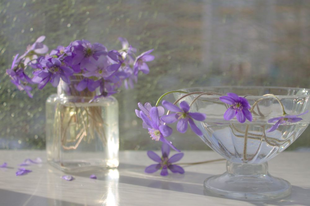Photo 2222715