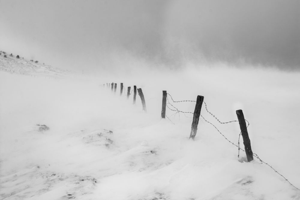 Photo 2222998
