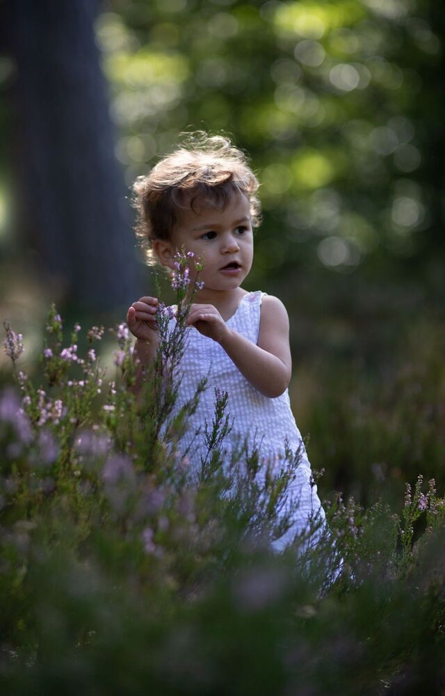 Photo 2223629