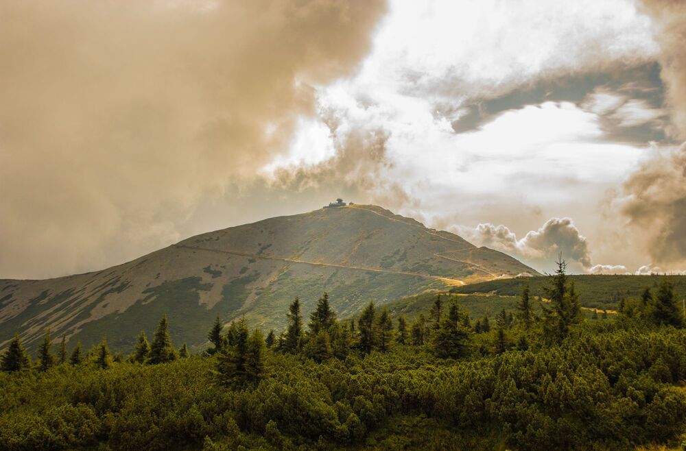 Photo 2223631