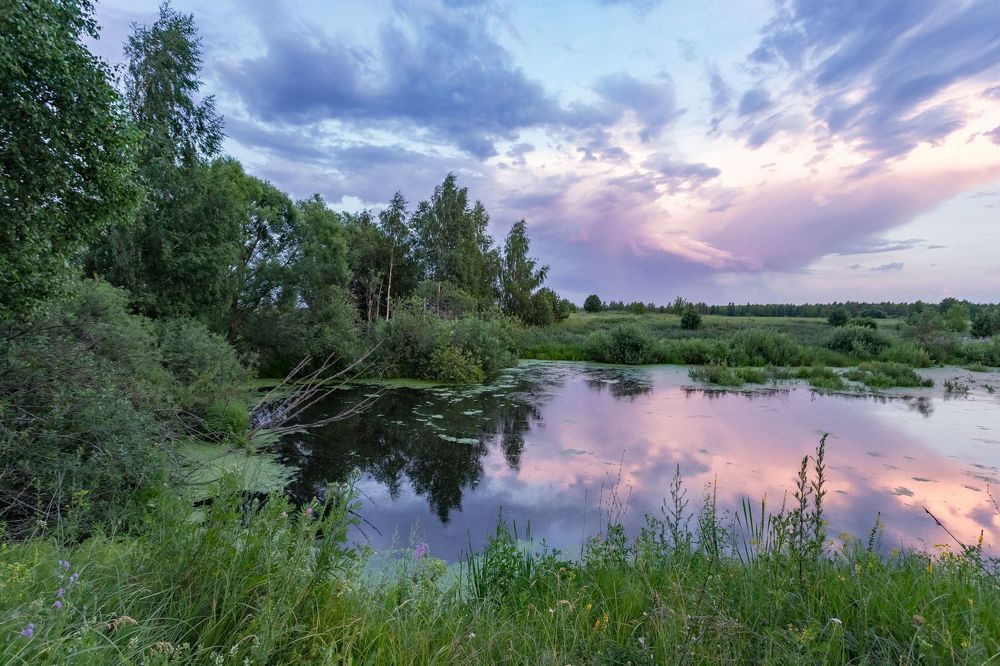 Розовое облако