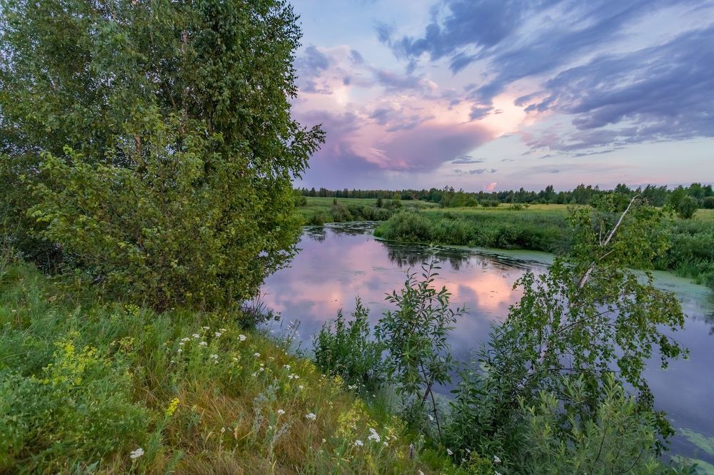 Розовое облако