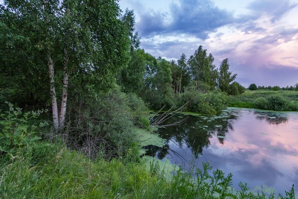 Розовое облако