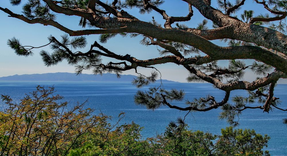 Rancho Palos Verde CA