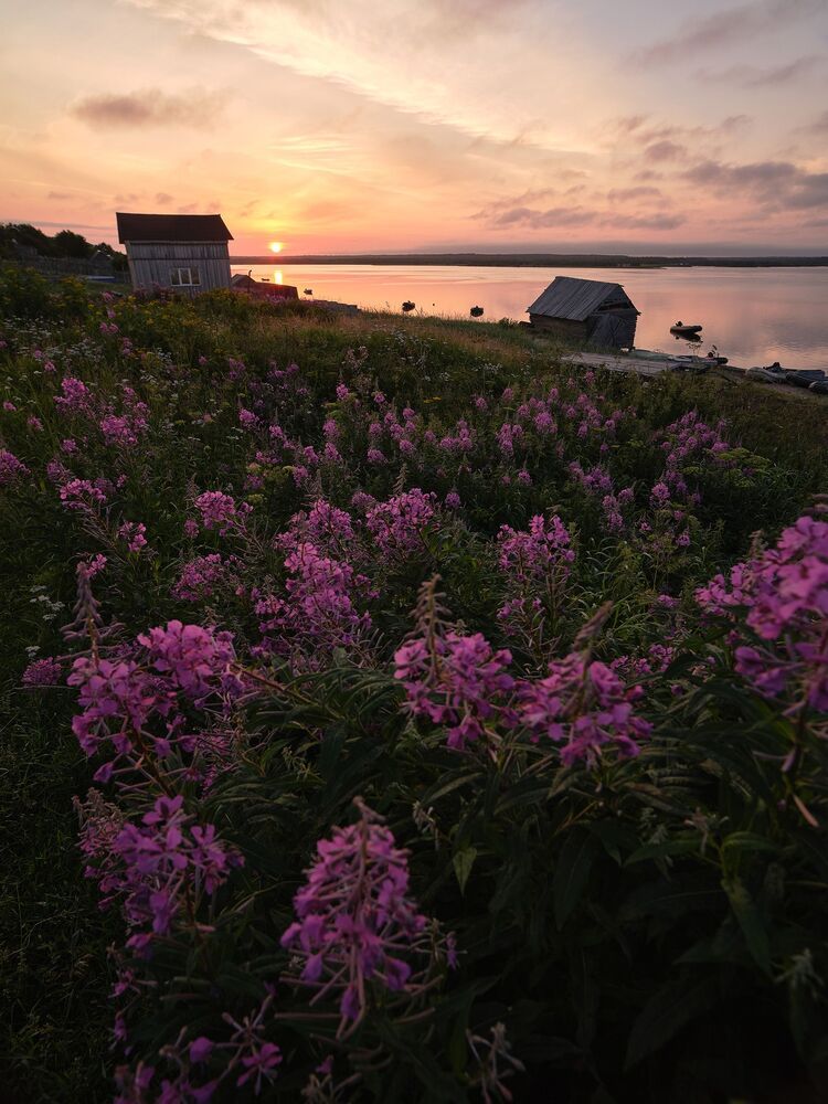 Photo 2225665