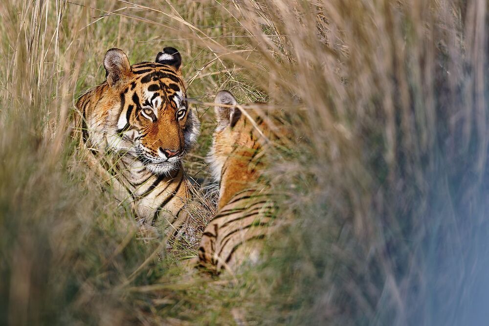 Photo 2225751