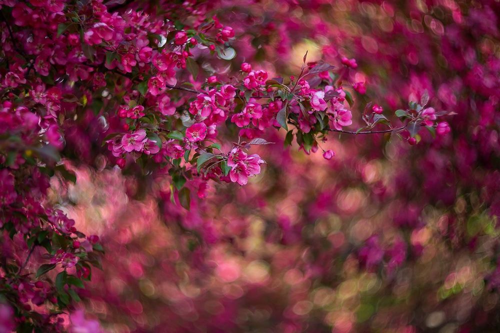 Photo 2225840