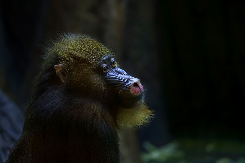 Photo 2225842