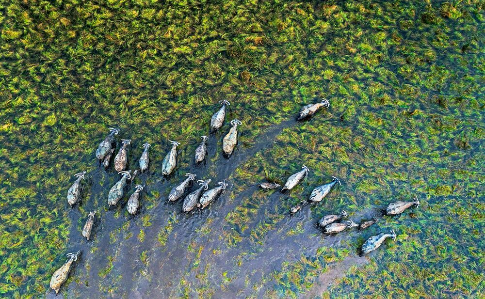 Viet Nam view