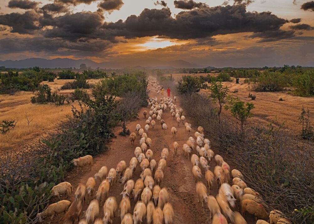 Viet Nam view