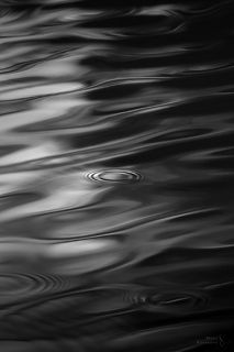 Магия воды

Гладь озера во время небольшого снегопада и ветра. Снято на 600 mm.

В Выборгских лесах, Ленинградская область.
Апрель 2021.