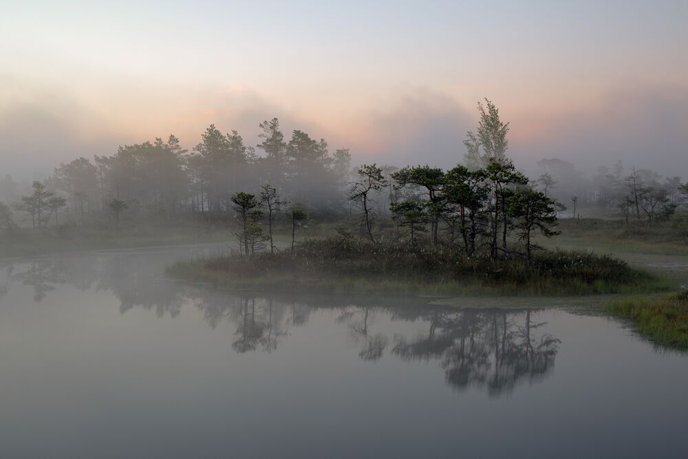 Photo 2228725