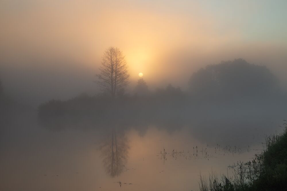 Photo 2228727