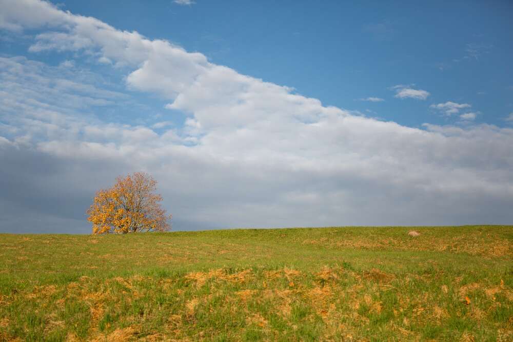 Photo 2228729