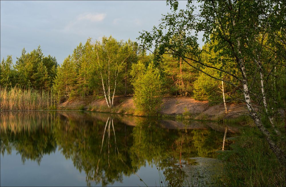 Утро на лесном пруду