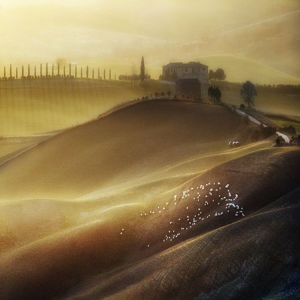 Tuscany Land