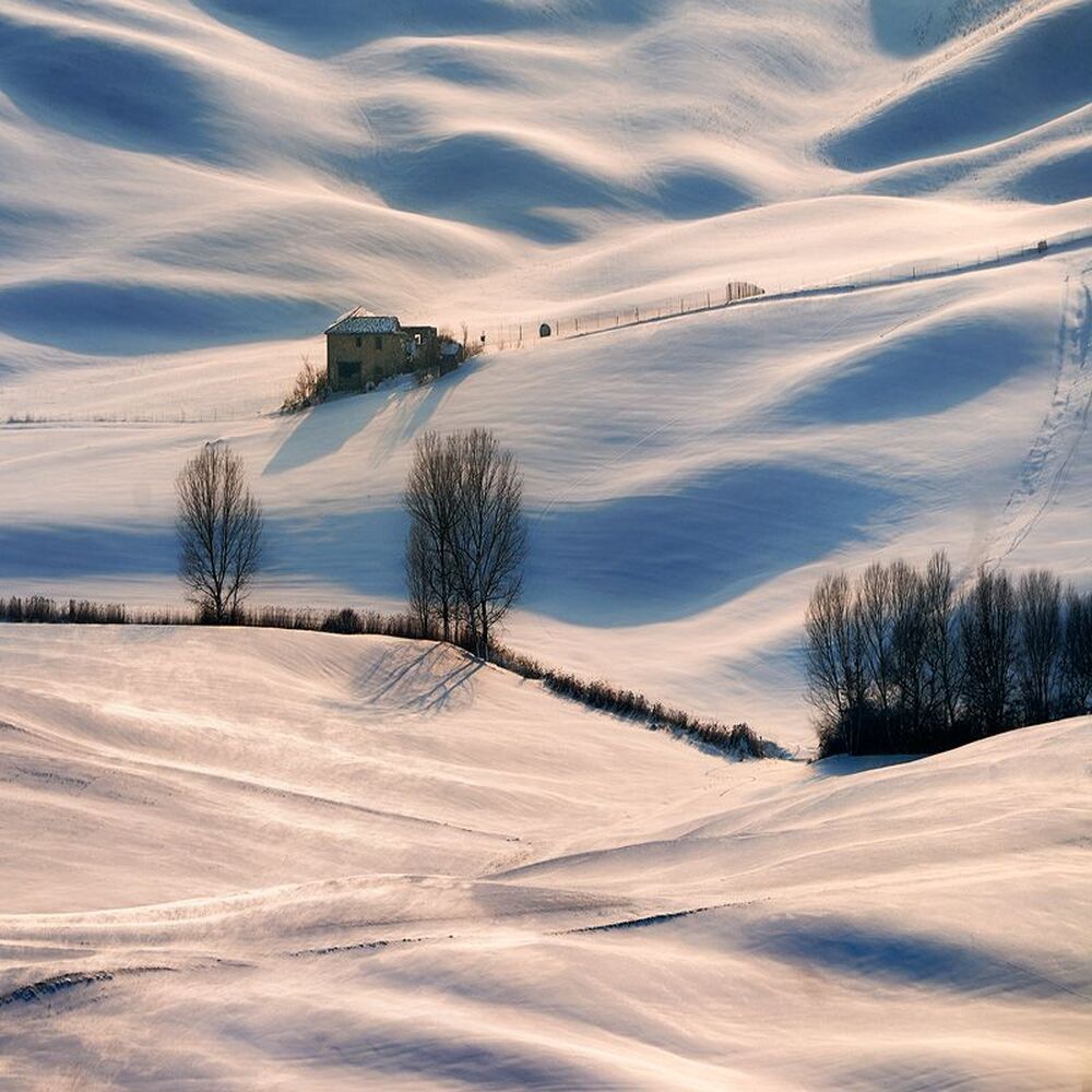 Help in the snow