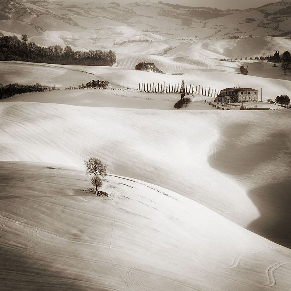 The Long Way home