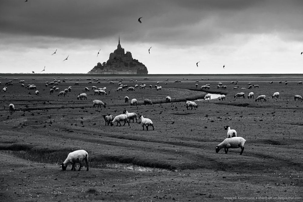 Dark pastorale
