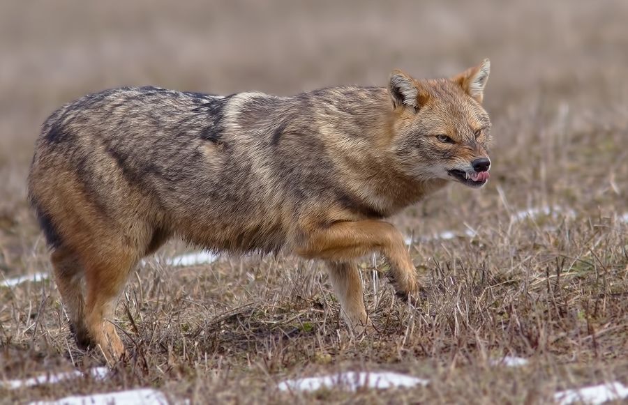 Photo 223484