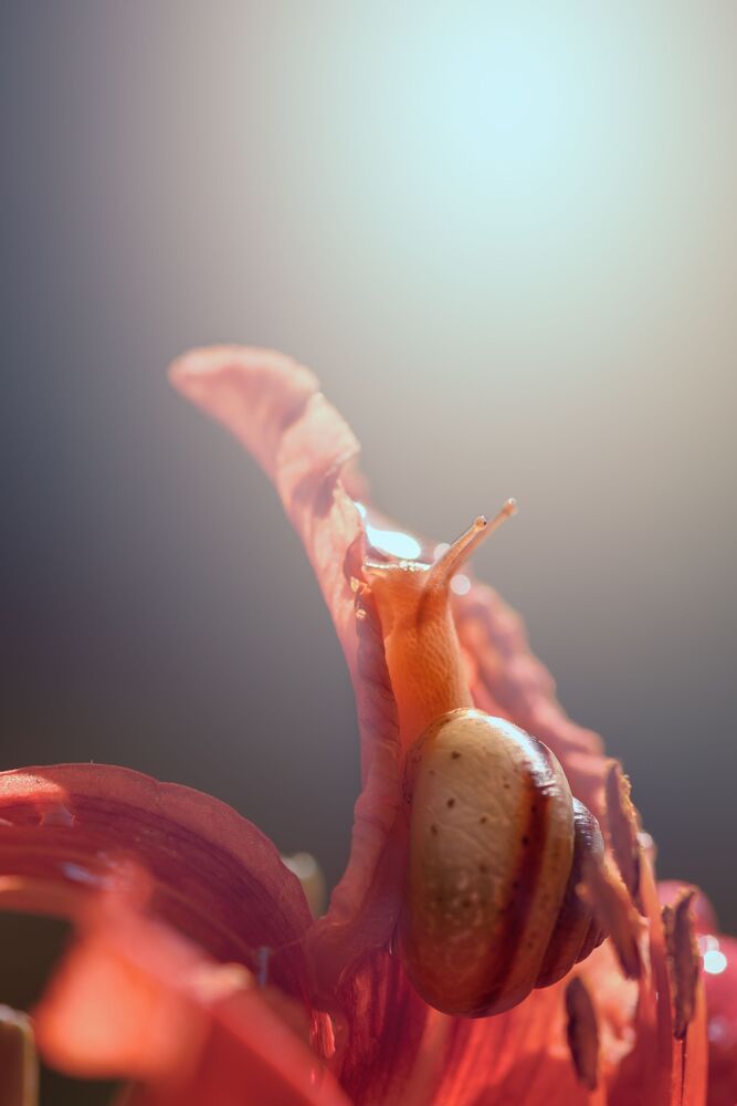 Photo 2230762