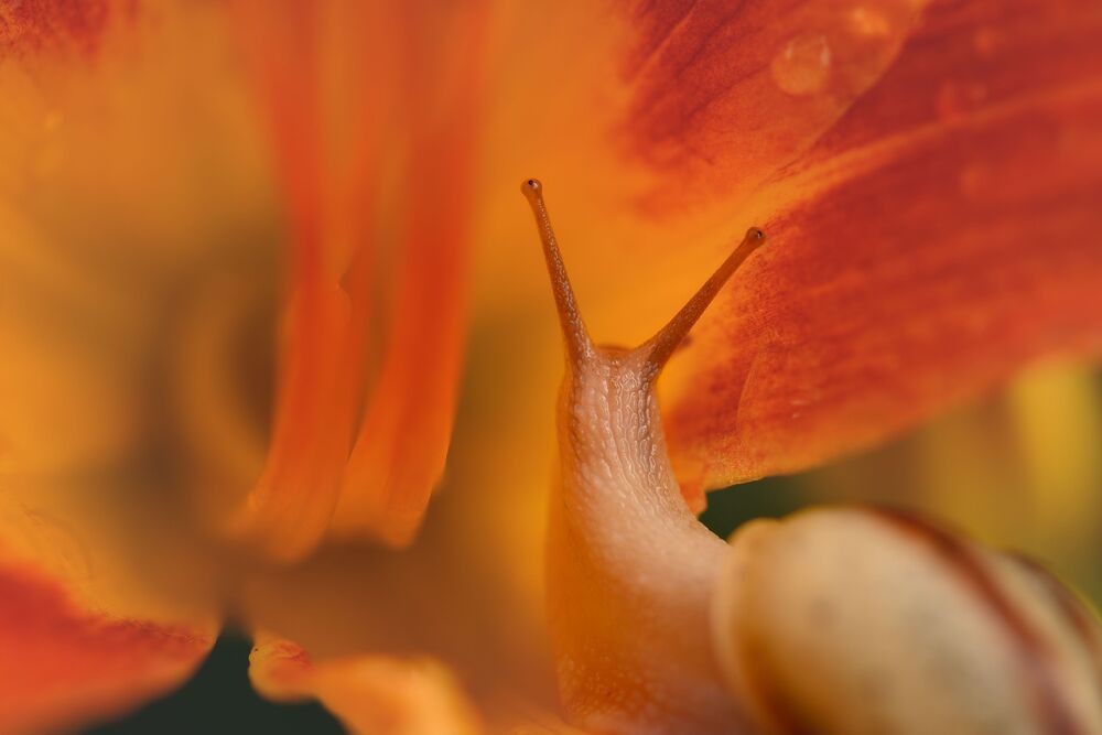 Photo 2230764