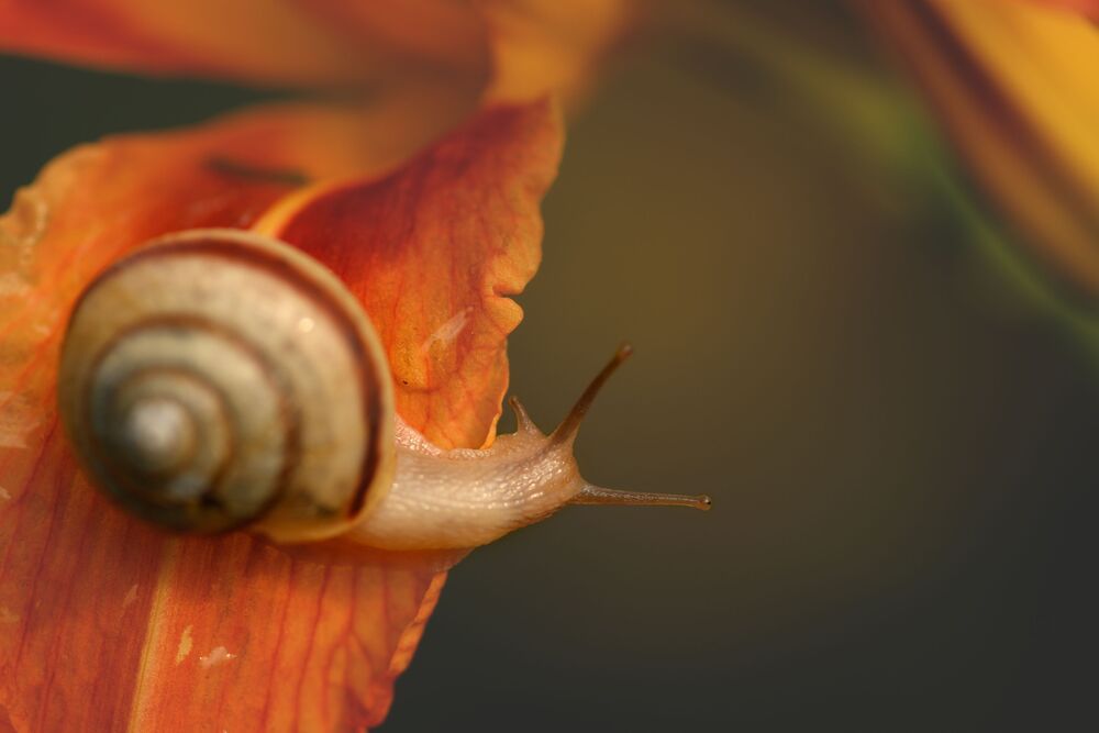 Photo 2230771